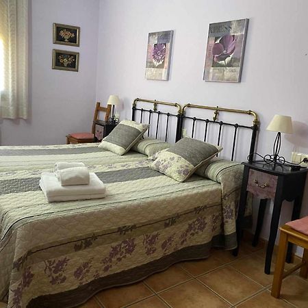 Apartamentos Casa Lola Rodeados De Montanas Y Rios ベセイテ エクステリア 写真