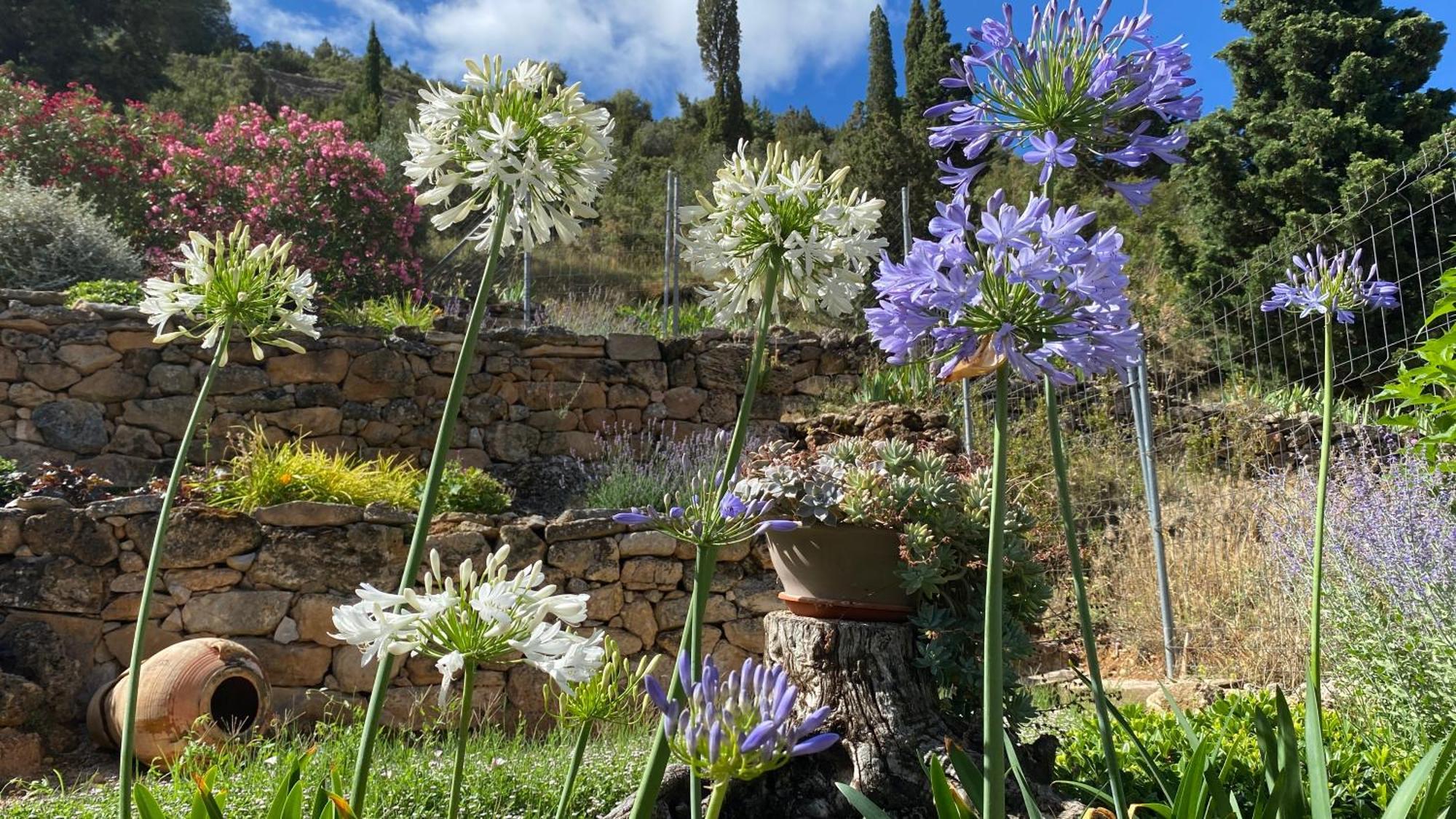 Apartamentos Casa Lola Rodeados De Montanas Y Rios ベセイテ エクステリア 写真
